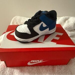 Toddler Nike Dunks